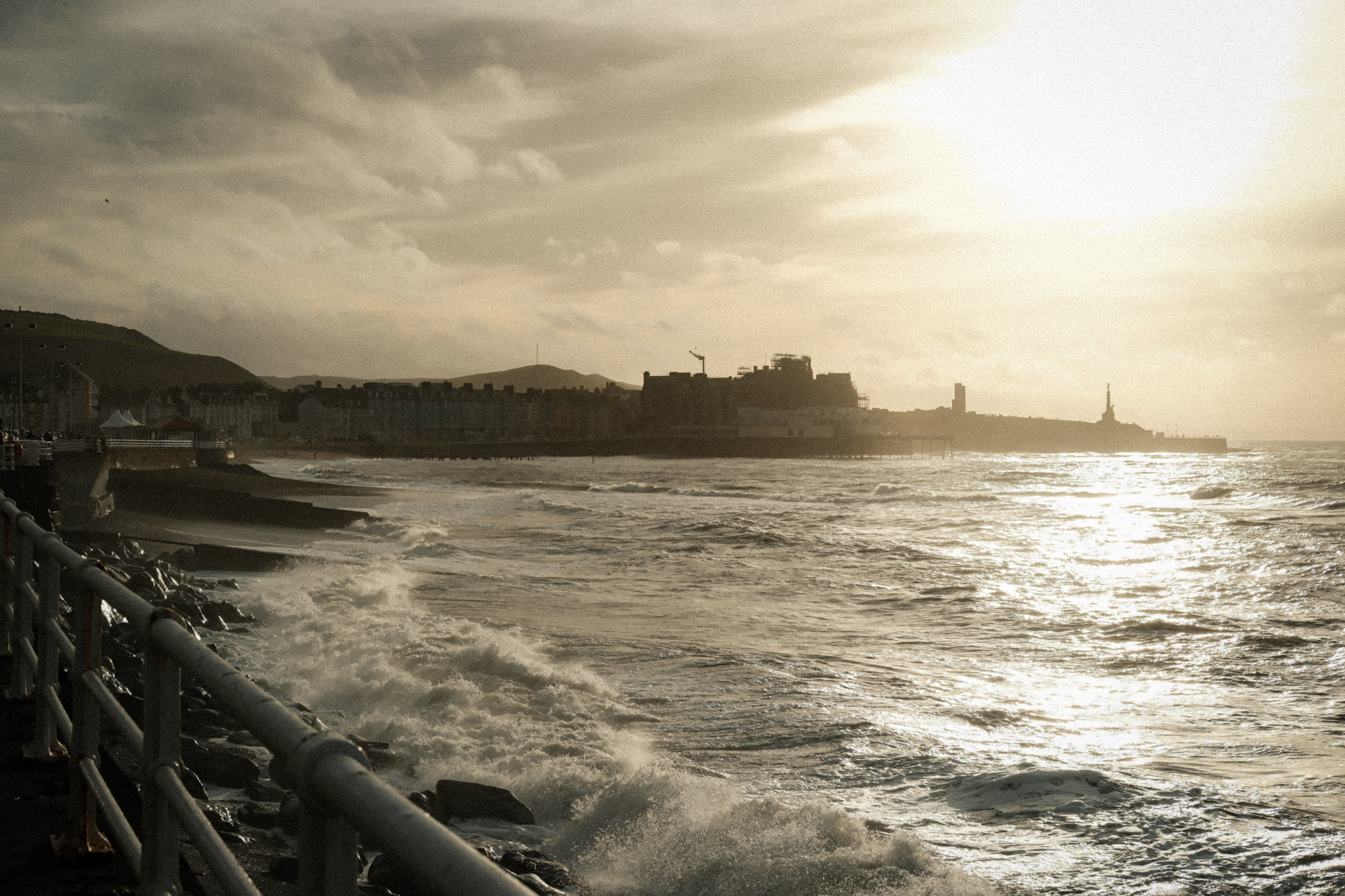 Protester holding a poster