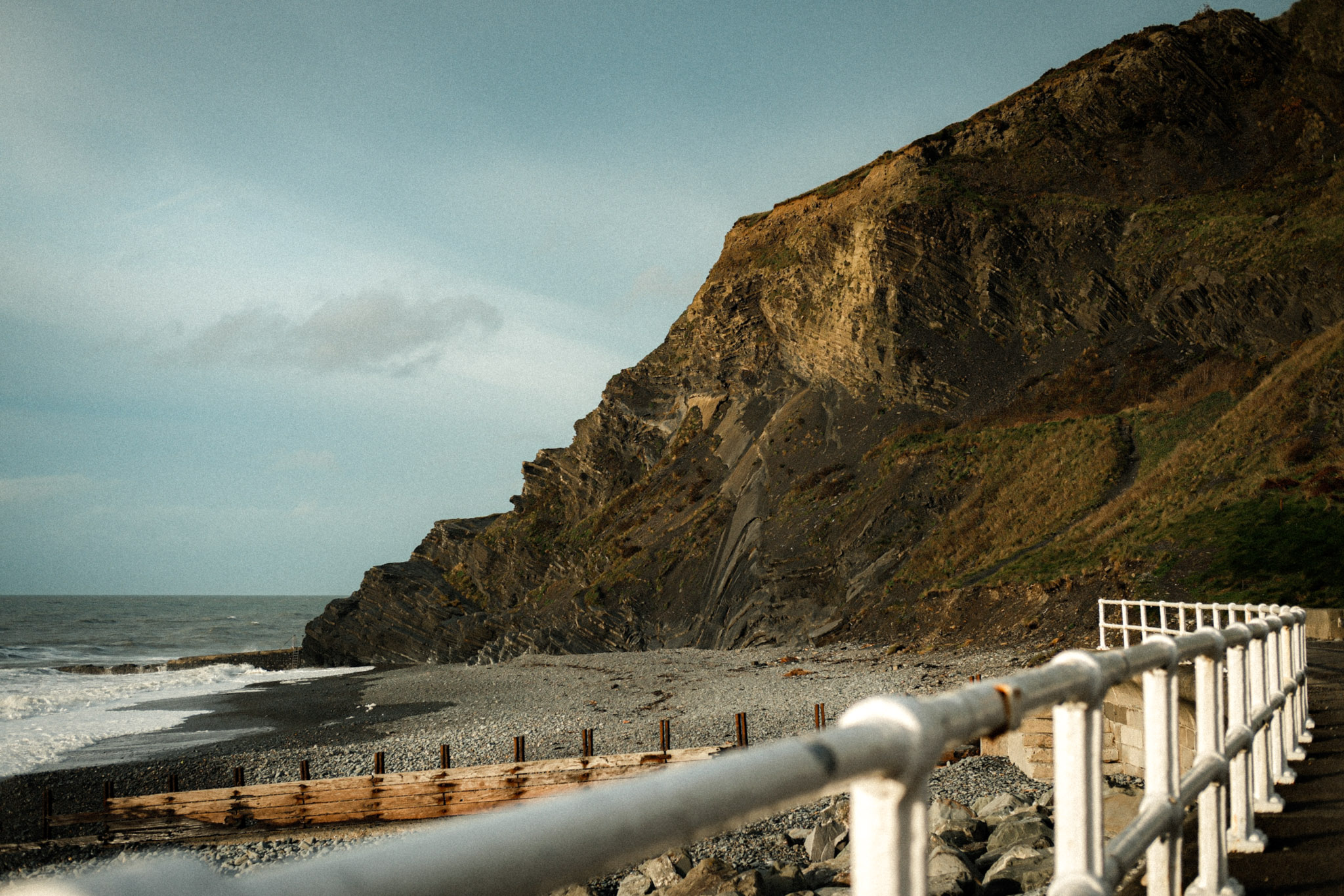 Protester holding a poster